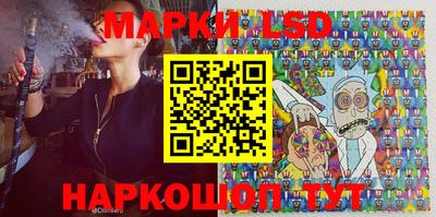 сатива Краснознаменск