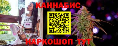 сатива Краснознаменск
