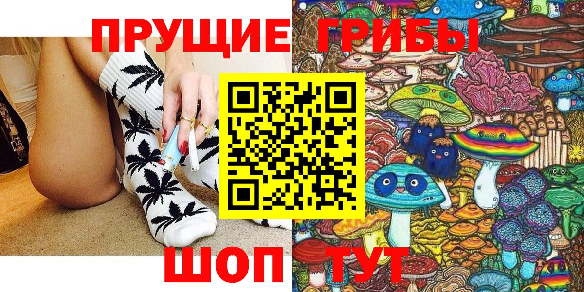 Псилоцибиновые грибы Psilocybine cubensis Чебоксары