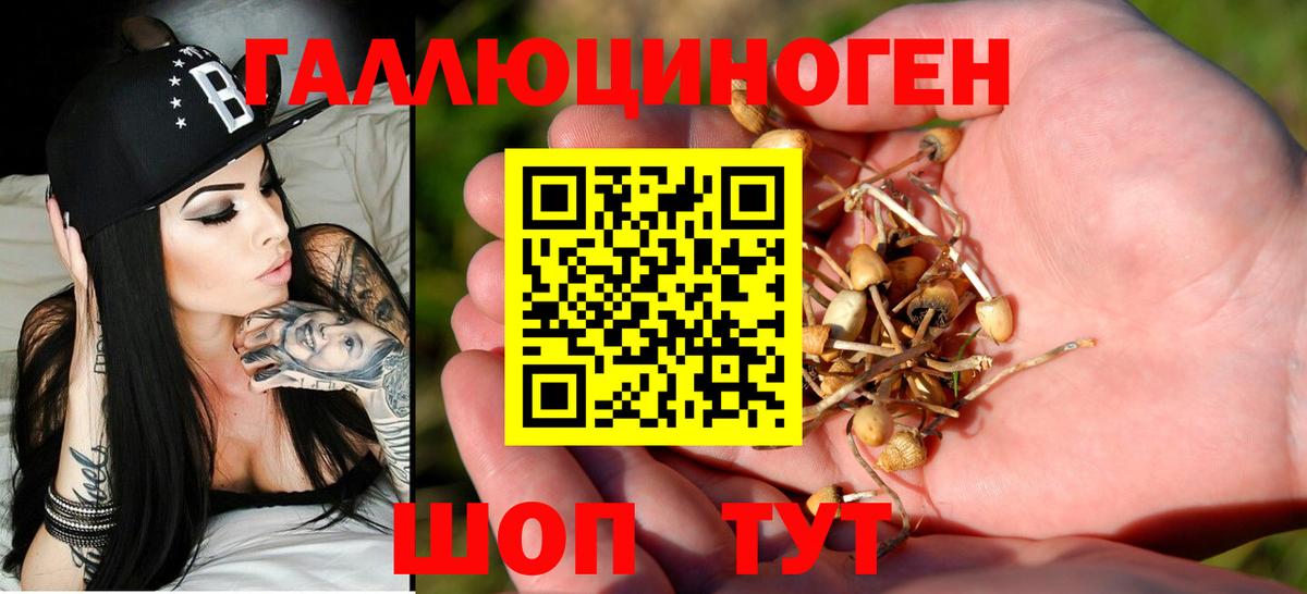 Чебоксары  Галлюциногенные грибы ЛСД  Вход с VPN  Галлюциногенные грибы GOLDEN TEACHER 